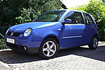Lupo
