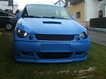 Lupo