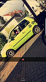 Lupo