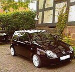 Lupo