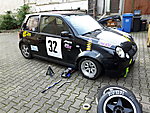 Lupo