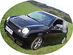 Lupo