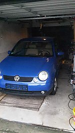 Lupo