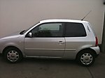 Lupo