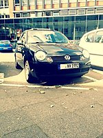 Lupo