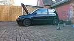 Lupo