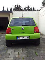 noppe068's Lupo