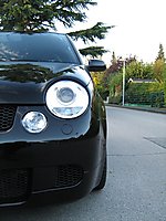 Lupo
