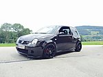 Lupo