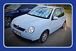 Lupo