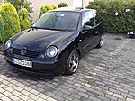 Lupo12347's Lupo