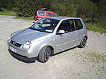 Fireryboy's Lupo