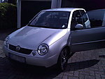 lachmaen's Lupo