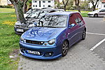 Lupo