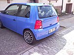 Lupo