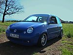Lupo