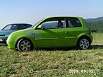 FrogRacinG's Lupo