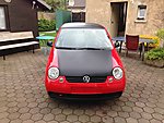 Lupo