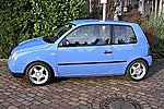 Lupo
