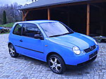 Lupo