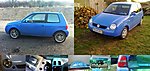 Lupo