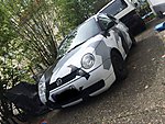 Lupo