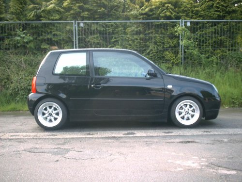Anhang ID 3600 - Lupo.JPG
