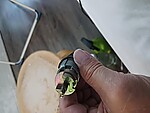 20260714_155655.JPG
