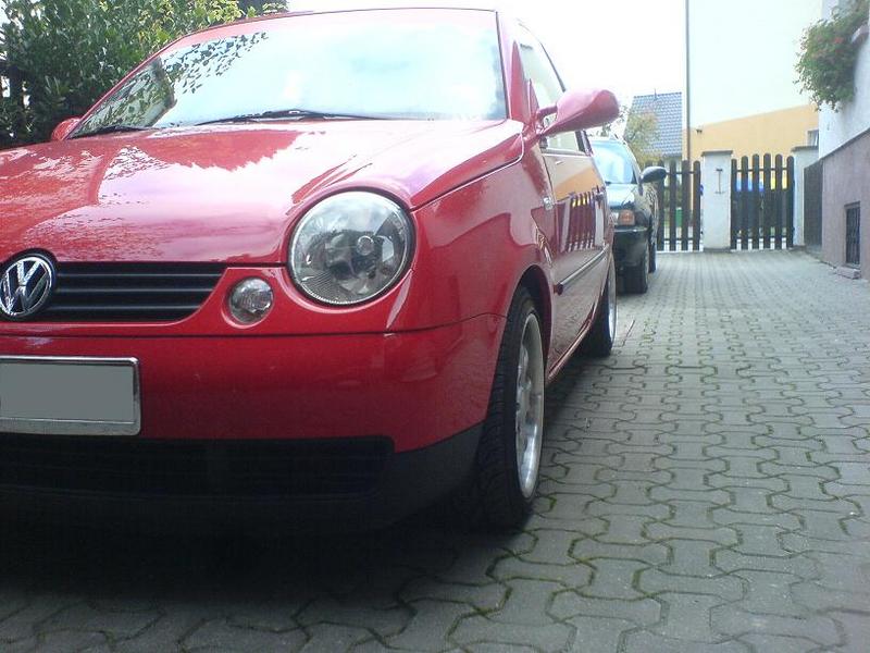 Anhang ID 5730 - Lupo 1.JPG