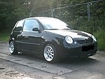 Lupo-1.JPG