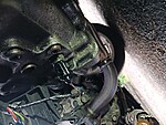 20250615_182923.JPG