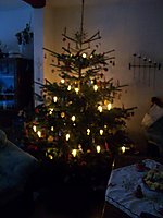 Weihnachtsbaum I.JPG