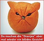 Oranjes.jpg